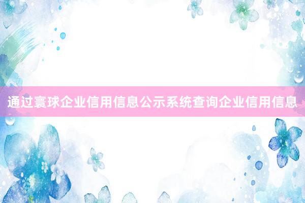 通过寰球企业信用信息公示系统查询企业信用信息