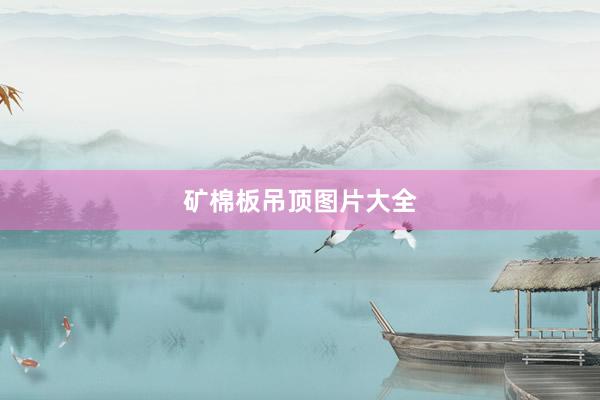 矿棉板吊顶图片大全